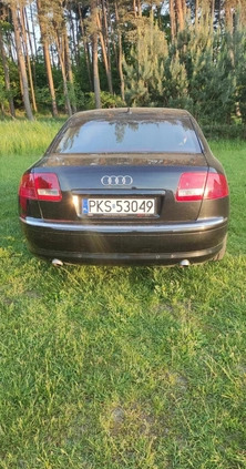 Audi A8 cena 24500 przebieg: 356000, rok produkcji 2003 z Kościan małe 22